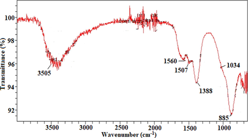 FTIR analysis of ZnO NPs fabricated by employing E. japonica leaves extract.