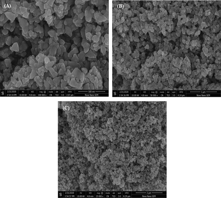 SEM images at of ZnO NPs fabricated using E. japonica leaves extracts.