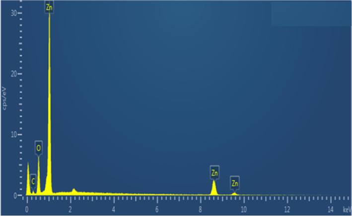 EDX spectrum of ZnO NPs fabricated using E. japonica leaves extracts.