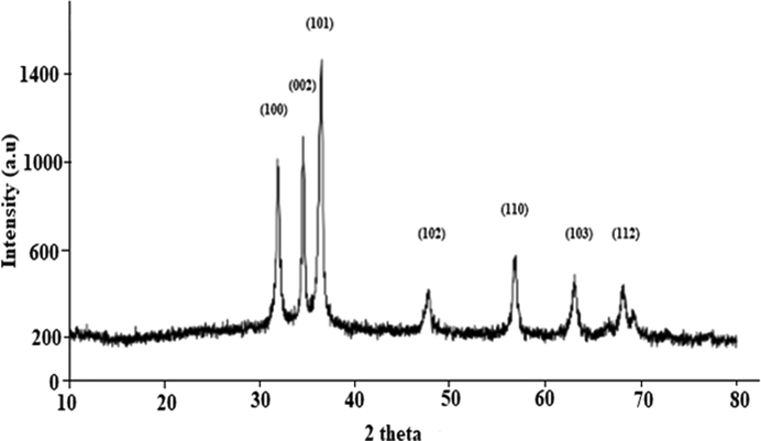 XRD pattern of ZnO NPs fabricated using E. japonica leaves extracts.