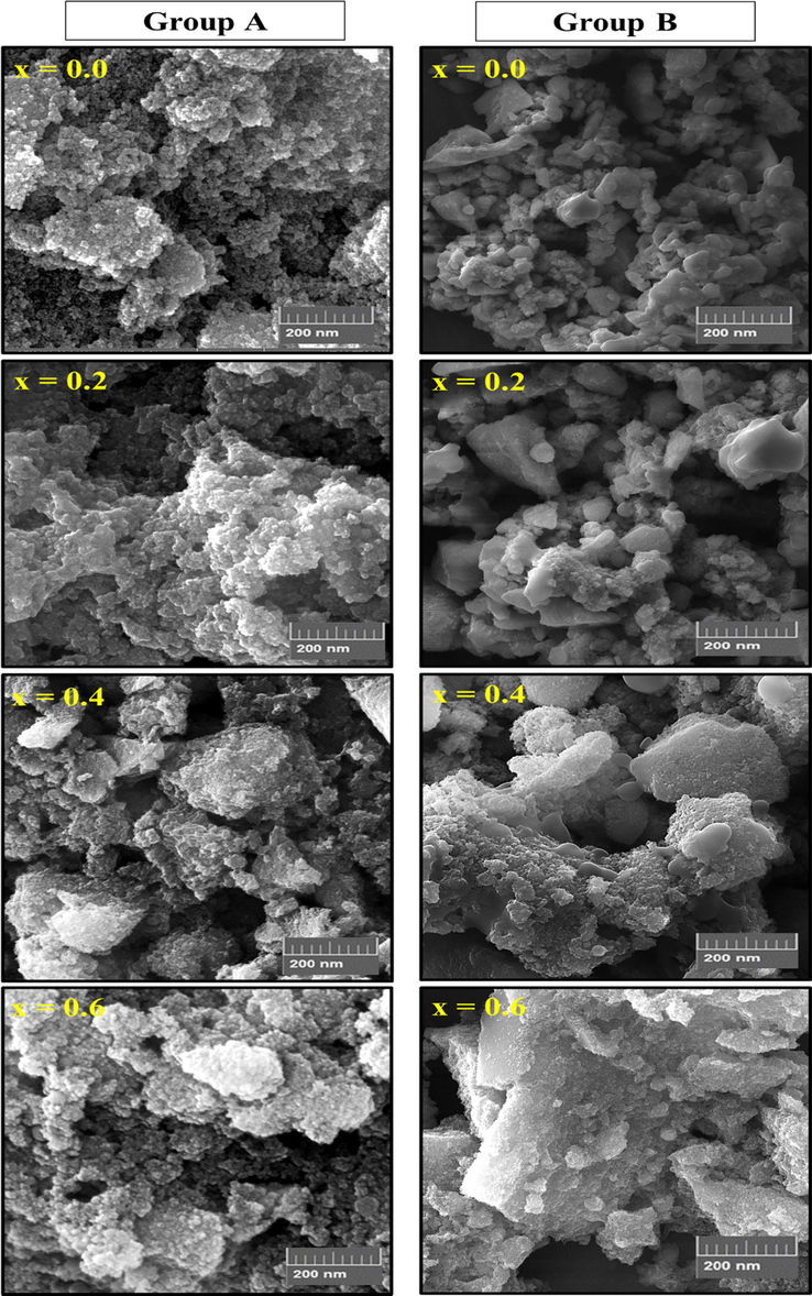 SEM images of ZnxCa0.5-x/2Mg0.5-x/2Fe2O4 (x = 0.0–0.6) NSFs of groups A and B.