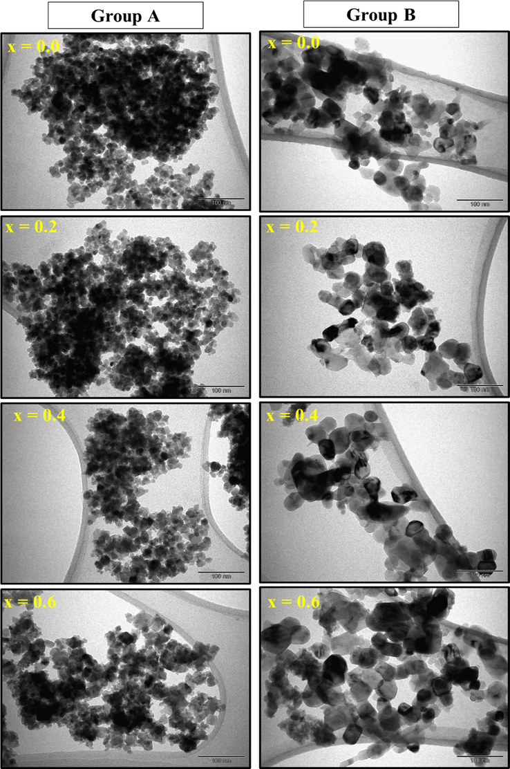 TEM images of ZnxCa0.5-x/2Mg0.5-x/2Fe2O4 (x = 0.0–0.6) NSFs of groups A and B.