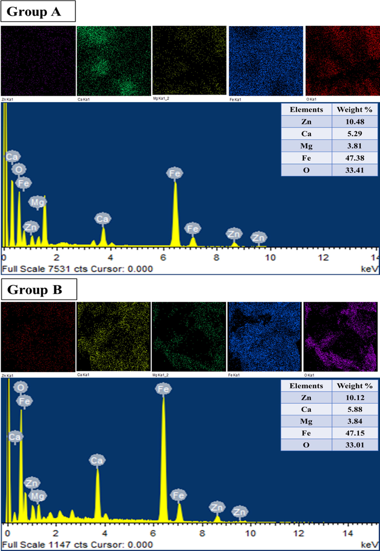 EDX and elemental mapping of ZnxCa0.5-x/2Mg0.5-x/2Fe2O4 (x = 0.4) NSFs of groups A and B.