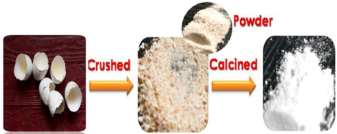 Schematic presentation for the preparation of MM-CaO.