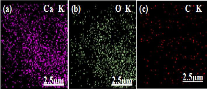EDX of MM-CaO, a) Surface concentration of calcium b) oxygen and c) carbon.