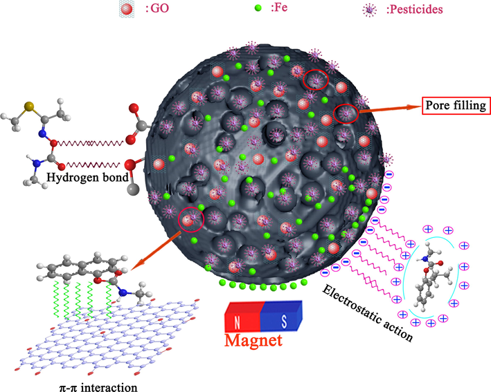 The schematic diagram of the possible adsorption mechanism of AS/NZVI/GO on pesticide molecules.