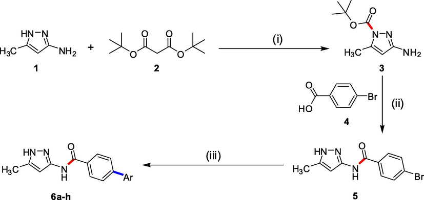 Synthesis of 4-bromo-N-(5-methyl-1H-pyrazol-3-yl)benzamide (5) and 4-aryl-N-(5-methyl-1H-pyrazol-3-yl)benzamide (6a-h). Reagents and conditions: (i) 1 (30.89 mmol, 3 g), 2 (46.33 mmol, 10.11 g), Triethyl amine (46.33 mmol, 6.46 ml), solvent 1,4-dioxane (180 ml), Reflux, Time 1 h; (ii) 3 (14.92 mmol, 2.94 g), 4 (14.92 mmol, 3 g), TiCl4 (44.77 mmol, 4.92 ml), Temperature 85 °C, Time 2 h, solvent pyridine 150 ml; (iii) 5 (0.526 mmol, 0.2 g), Pd(PPh3)4 (7 mol%, 0.03682 mmol, 0.042 g), K3PO4 (1.052 mmol, 0.22 g), aryl boronic acids/pinacol esters (0.579 mmol), 1,4-dioxane/H2O (4:1), reflux, Time 20–30 h.
