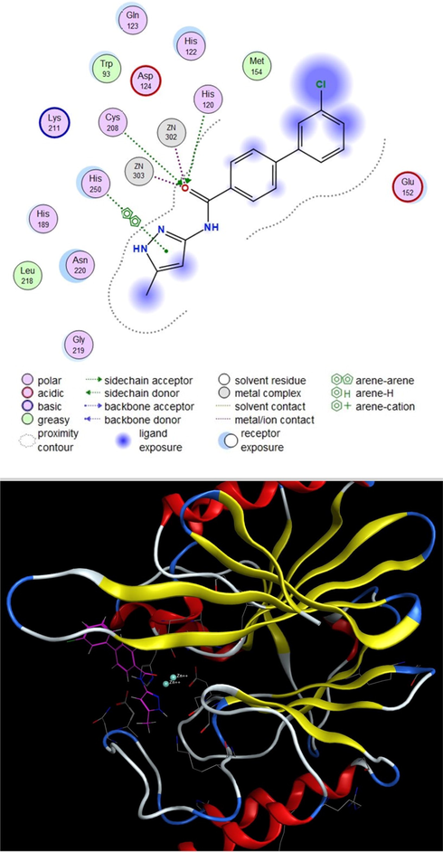 Two-dimensional (2D, top) and three-dimensional (3D, bottom) diagram of the 6b compound with NDM1 protein.