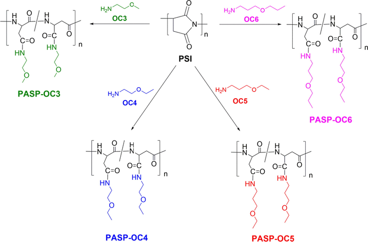 Chemical structures of four linear alkyl ether amine compounds (OCx) and their corresponding polyaspartamide derivatives PASP-OCx.