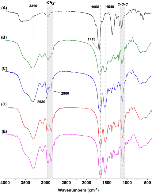 FTIR spectra of (A) PSI, (B) PASP-OC3, (C) PASP-OC4, (D) PASP-OC5 and (E) PASP-OC6 in KBr.
