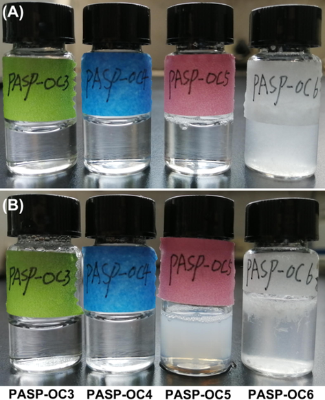 The optical pictures of PASP-OCx aqueous solutions at (A) 20 °C and (B) 60 °C (polymer concentration: 5.0 mg/mL).