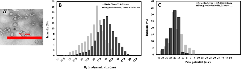 Characterization of PEG/PLA diblock copolymer nanomicelles and ibuprofen-PEG/PLA diblock copolymer nanomicelles. (A) TEM image. (B) Size distribution. (C) Zeta potential.