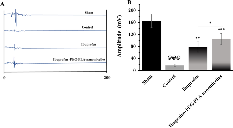 Motor-evoked potential (MEP) analysis. (A) MEP graphs of different groups after surgery. (B) The average amplitude of different groups after surgery. Data represent the mean ± S.D. of five rats in each group. @@@P < 0.001, relative to sham-treated group, *P < 0.05, **P < 0.01, ***P < 0.001, relative to control group.