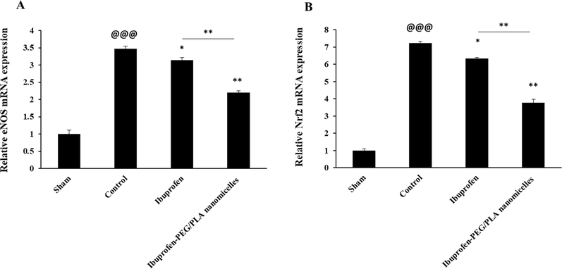 SCI-stimulated changes in the spinal cord expression of eNOS mRNA (A) and Nrf2 mRNA (B) as determined by qPCR. Data represent the mean ± S.D. of five rats in each group. @@@P < 0.001, relative to sham-treated group, *P < 0.05, **P < 0.01, relative to control group.