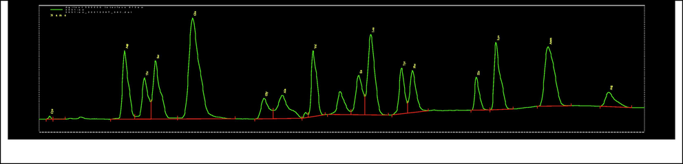 Chromatogram of amino acids content of freeze-dried fermented milks with Lactobacillus plantarum Bu-Eg5.