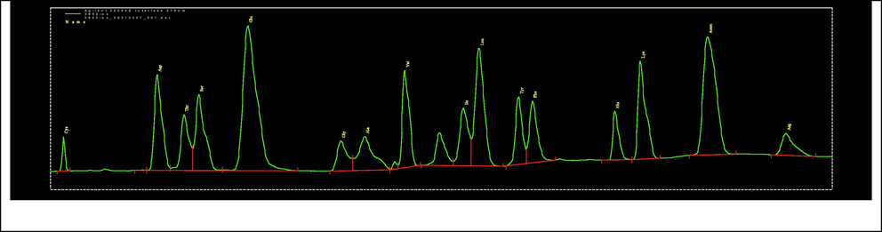 Chromatogram of amino acids content of freeze-dried fermented milks with Lactobacillus rhamnosus Bu-Eg6.