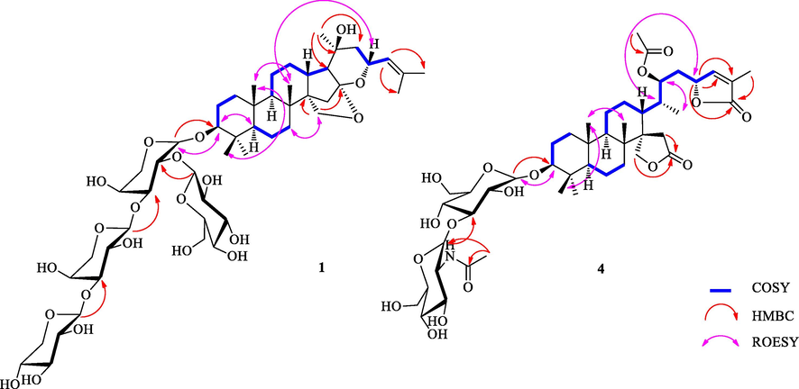 Key 1H–1H COSY, HMBC and ROESY correlations in compounds 1 and 4.