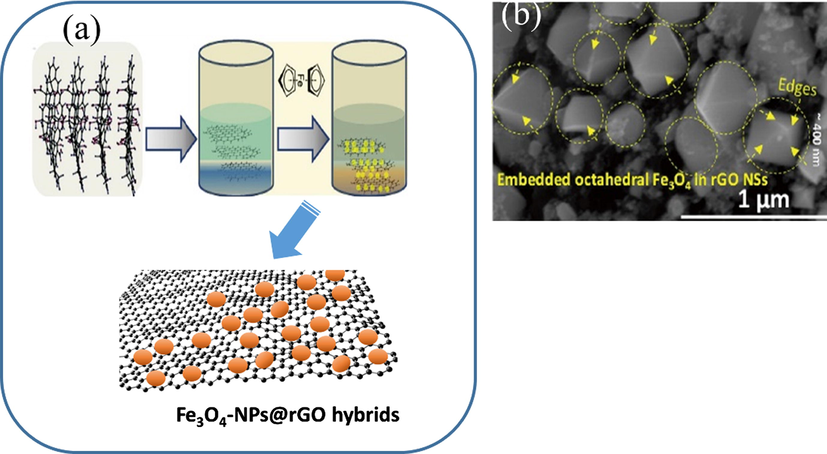 (a) The synthesis schematic of Fe3O4-NPs@rGO hybrids by Kumar et al. (2018); (b) SEM Fe3O4-ONCs@rGO hybrids.