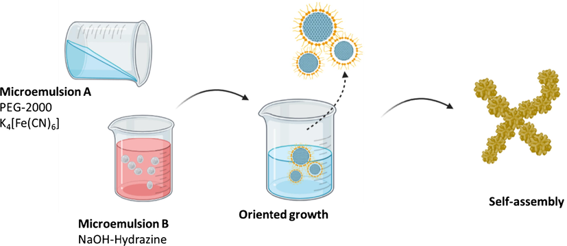 Schematic representation of the self-assembly in Fe3O4 particles synthesis (adapted from Lv et al., 2015).