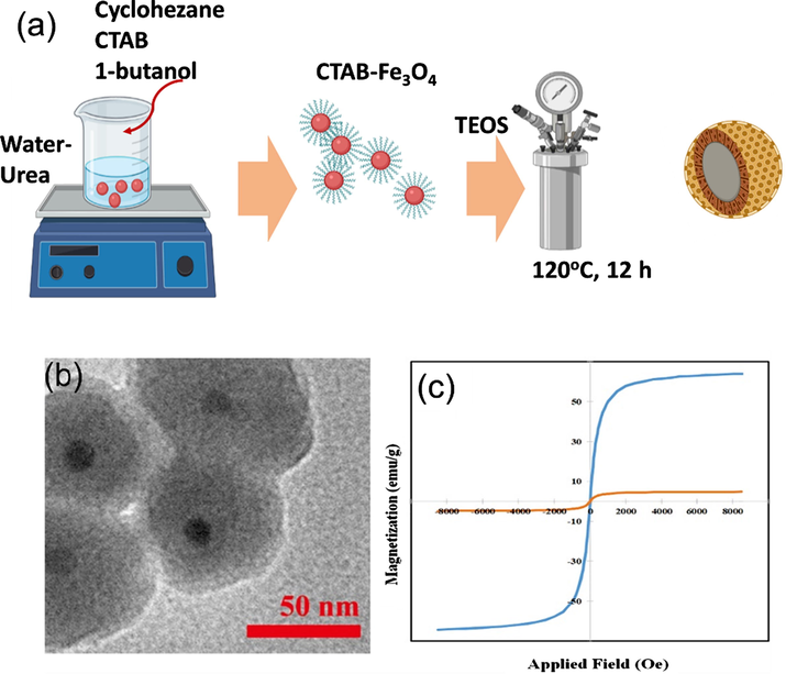 (a) The synthesis route of Fe3O4@mSiO2 nanoparticles via modified inverse microemulsion technique by Asgari et al. (2019); (b) TEM image of naked Fe3O4 nanoparticles; (c) Hysteresis loops of Fe3O4@oleic acid (blue) and Fe3O4@mSiO2 (orange).