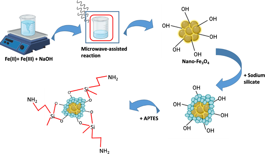 Illustration of microwave-assisted synthesis of Nano-Fe3O4-SiO2-NH2 adsorbent (Singh and Upadhyay, 2018).