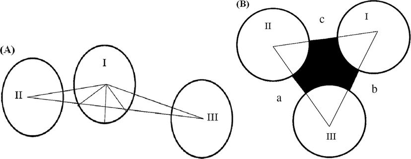 Schematic of the cross-section of the feed passage.