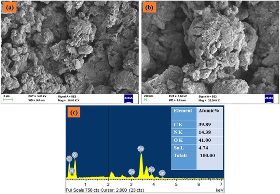 Lower and higher magnification of FESEM image and EDX spectrum of SCP-CAR nanocomposites.