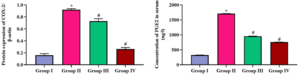 Effect of SCP-CAR nanoparticle composites on serum levels of cox-2/PGE2 in rats induced with arthritis using CFA Group I: Control animals; Group II: Animals induced with arthritis using CFA; Group III: CFA induced arthritic rats + SCP-CAR nanoparticle composites; Group IV: CFA induced arthritic rats + Diclofenac Sodium. Findings of the study were represented as mean ± SD. Experiment was carried out in triplicates consisting of six animals in each group. ‘#’ represents statistical significance at p < 0.05 compared to control and ‘*’ represents statistical significance at p < 0.05 compared to arthritis induced group.