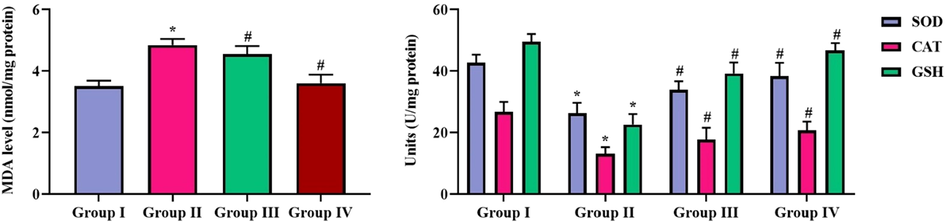 Effect of SCP-CAR nanoparticle composites on status of oxidative stress markers in CFA induced arthritic rats Group I: Control animals; Group II: Animals induced with arthritis using CFA; Group III: CFA induced arthritic rats + SCP-CAR nanoparticle composites; Group IV: CFA induced arthritic rats + Diclofenac Sodium. Findings of the study were represented as mean ± SD. Experiment was carried out in triplicates consisting of six animals in each group. ‘#’ represents statistical significance at p < 0.05 compared to control and ‘*’ represents statistical significance at p < 0.05 compared to arthritis induced group. MDA: Malondialdehyde.