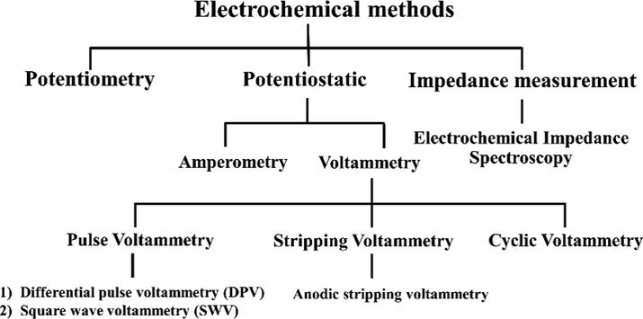A flow chart of the electrochemical methods used to detect heavy metal ions.