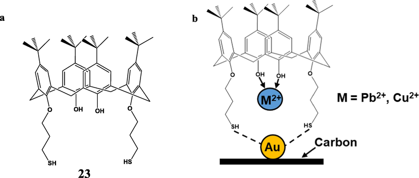 a) The structure of thiolated calix[4]arene (TC4). b) Schematic representation of the binding and complexation mode of TC4/AuNPs/SPCE with Pb2+ and Cu2+ (Mei et al., 2021).