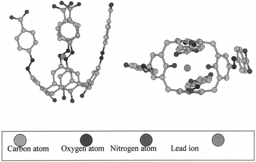 Side view of the 3D structure of the ligand, i.e., the Pb2+ complex. The energy-minimized structure suggests that the lead ion is located in a medium cavity (hydrogen atoms omitted for clarity) (Lu et al., 2002).