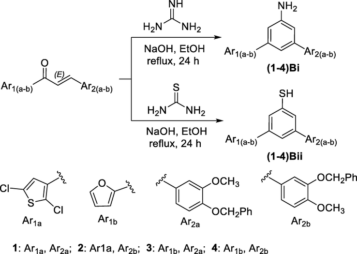 Synthesis of pyrimidine derivatives (1–4)B(i-ii).