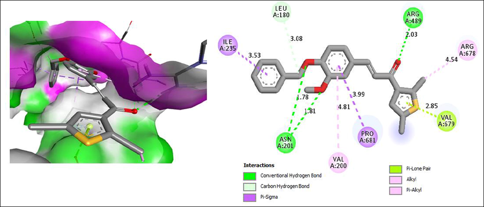 The best predicted binding poses of (a) 2D- and (b) 3D-molecular structure interaction of compounds 1 with 2DQS.PDB. In the scaffold, green color represents the carbon atoms, red for oxygen, sky blue for fluorine, dark blue for chlorine, and pale blue for the nitrogen atom.