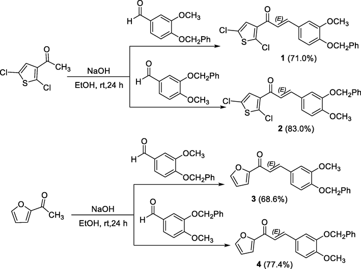 Synthesis of chalcones 1–4.