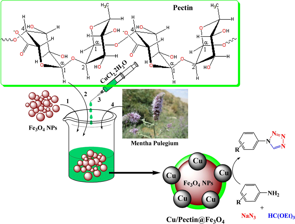 Schematic synthesis of Cu/Pectin@Fe3O4 nanocomposite and its application for one-pot synthesis of 1-substituted-1H-tetrazoles.