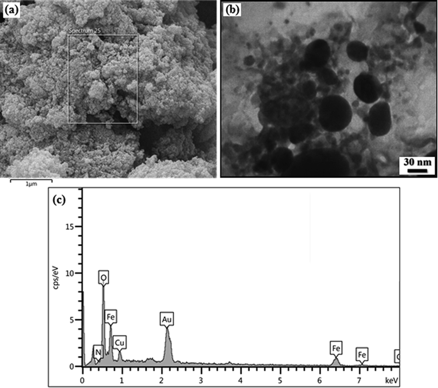 (a) FESEM, (b) TEM and (c) EDX analysis of recycled Cu/Pectin@Fe3O4 catalyst after 9th run.