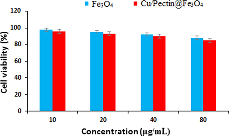 In vitro cytotoxicity analysis of Fe3O4 and Cu/Pectin@Fe3O4 nanocomposite on HUVEC cell line.