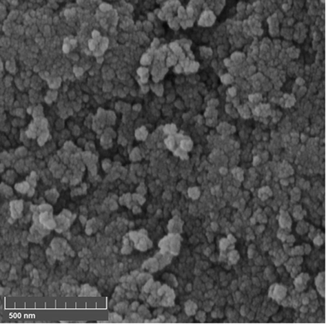 FE-SEM image of Cu/Pectin@Fe3O4 nanocomposite.