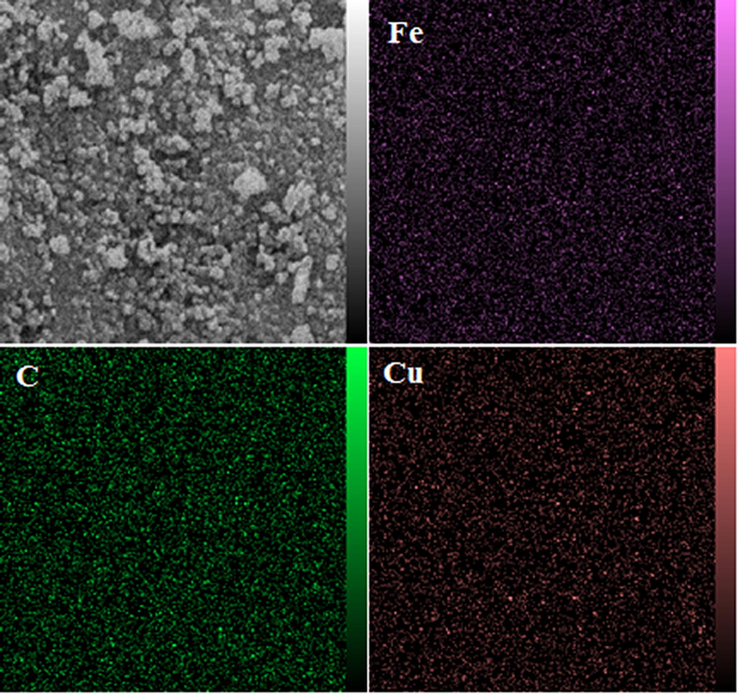 Elemental mapping of Cu/Pectin@Fe3O4.