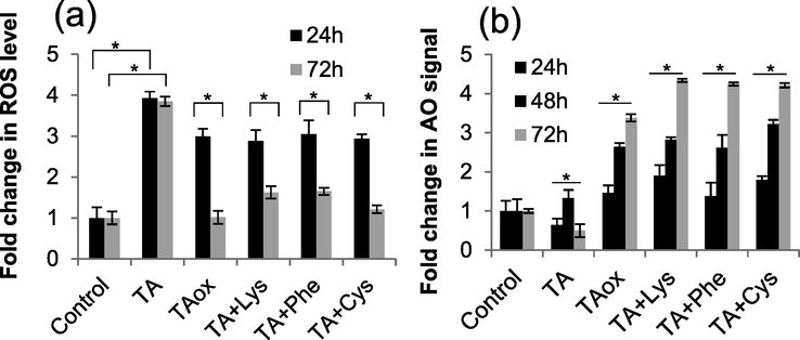 (a) Flow cytometric analysis of intracellular ROS of K562/ADR cell after treatment with different TA samples for 24 hrs and 72 hrs (n = 3), (*p < 0.05, ns: not significant by unpaired t test). (b) Flow cytometric analysis of lysosome of K562/ADR cell after treatment with different TA samples for 24 hrs, 48 hrs, and 72 hrs (n = 3)., (*p < 0.05, ns: not significant by one-way ANOVA). The final concentrations of TA, TA + Lys, TA + Phe and TA + Cys were 10 μM (TA eqivalent), while that of TAox was 20 μM.