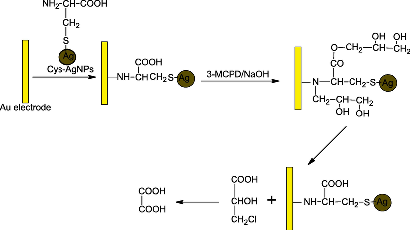 Probable route of 3-MCPD oxidation on the Cys-AgNPs/Au electrode.