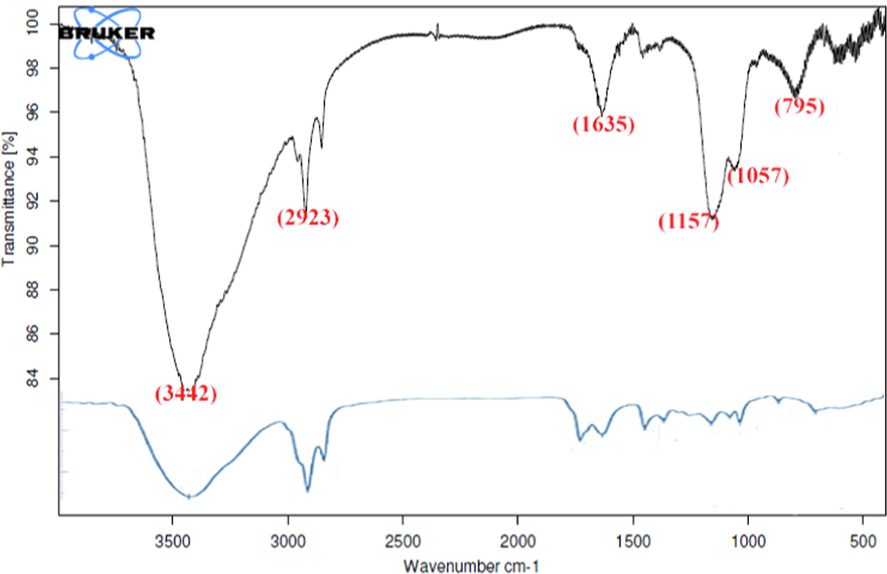 FT-IR spectrum of green synthesized Ag nanostructures.