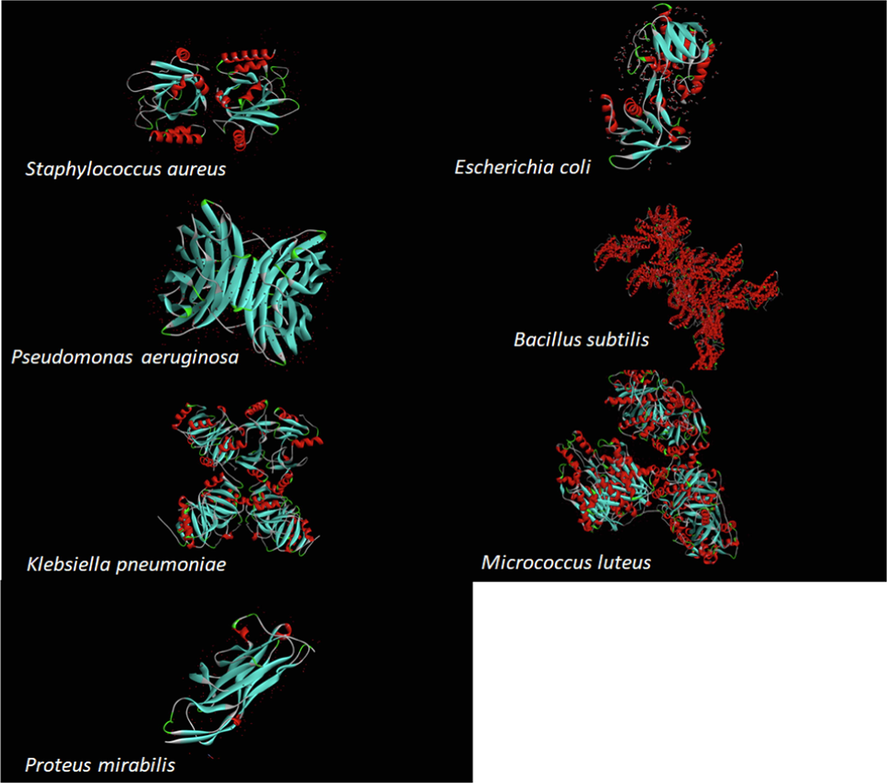 Structure of all of applied bacteria.