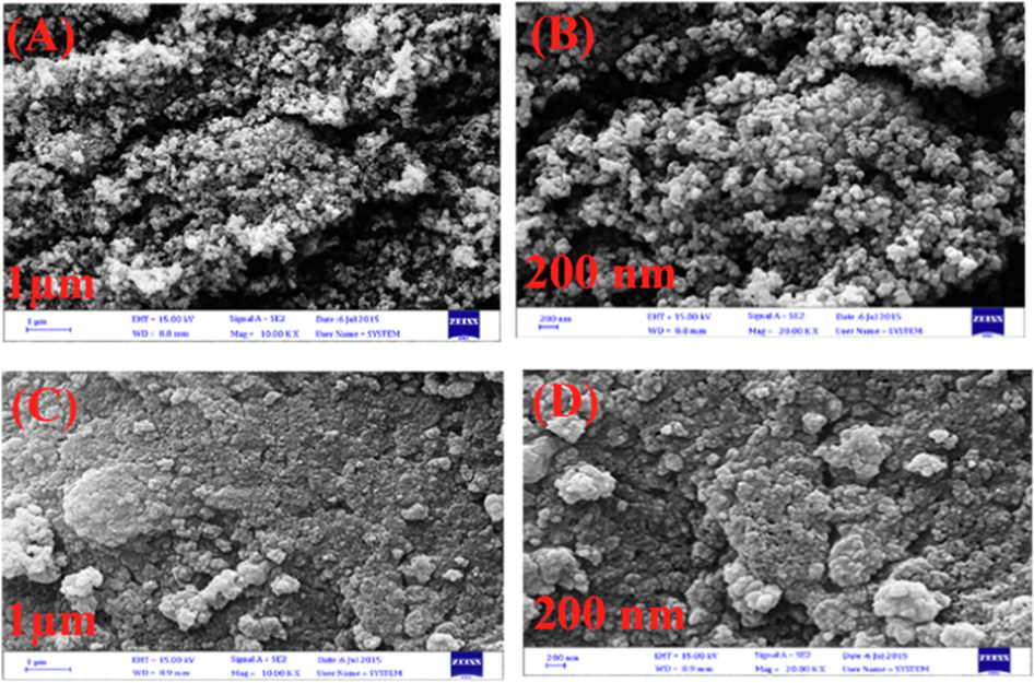 Scanning electron microscopy (SEM) of AgNPs synthesized in the presence of Artemisia herba-alba extract at pH of 10 (A, B) and pH of 12 (C, D).