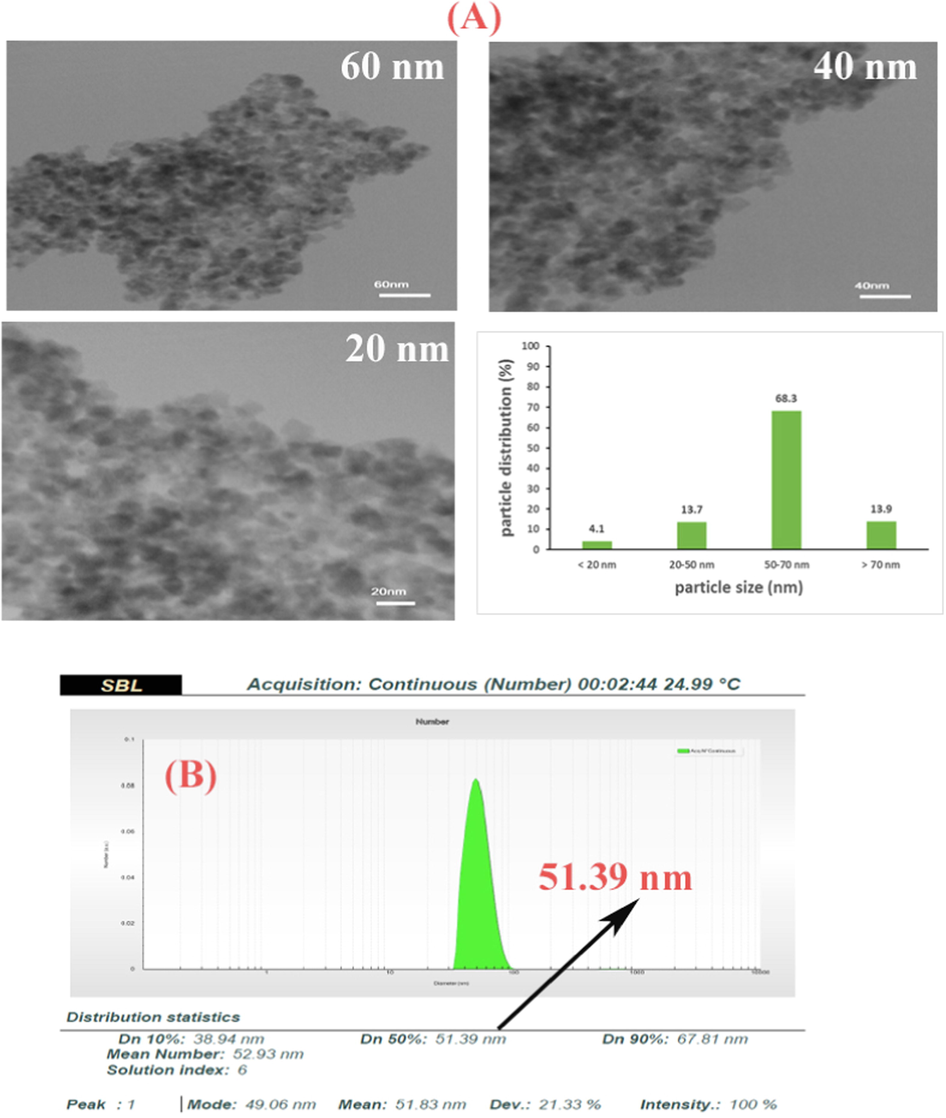 TEM image of Ag nanostructures synthesized at pH 10 at different magnitude as well as size distribution of Ag NPs based TEM images (A), The SBL (Statistical Bin Limits) nanosizer histogram of NPs (B).