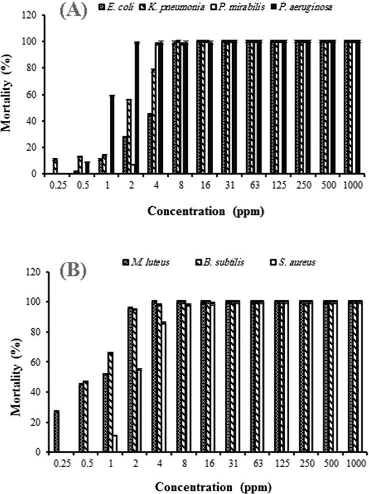 Mortality (%) of the green synthesized silver nanoparticles on the gram-negative bacteria (A) and on the gram-positive bacteria (B).