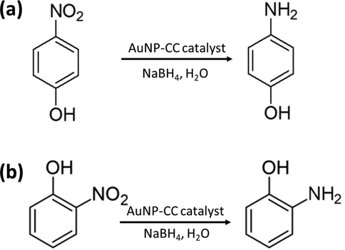 Typical transformation reactions of (a) p-NP and (b) o-NP.