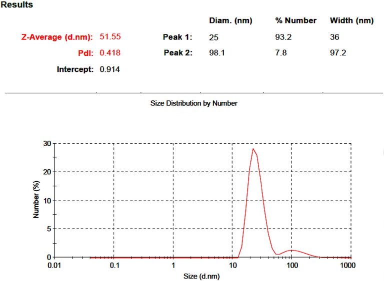 DLS analysis of prepared silica nanoparticles with SDS at two magnifications.