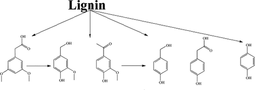 Fragmentation of lignin structure during hydrothermal pretreatment. Adapted with permission from (Gao et al., 2016).